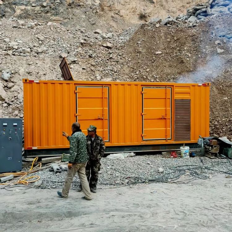 金堂如何选择适合自己的 800KW 柴油发电机组？